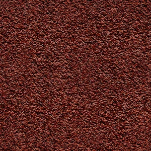 Satino Royale prémium cut pile padlószőnyeg egyik színe